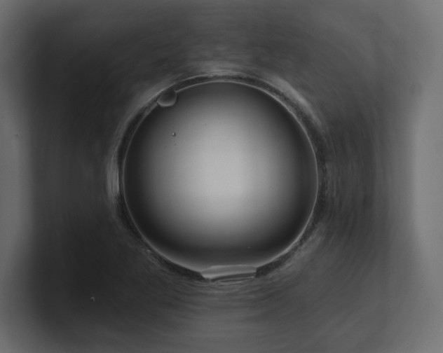 X0000100921269200806241337