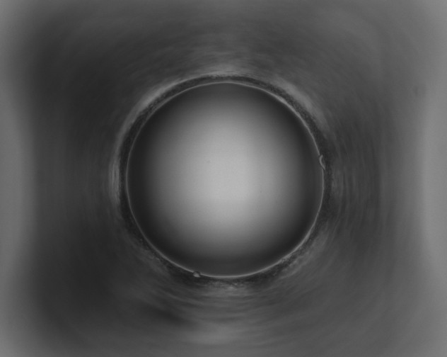 X0000100921270200806241337