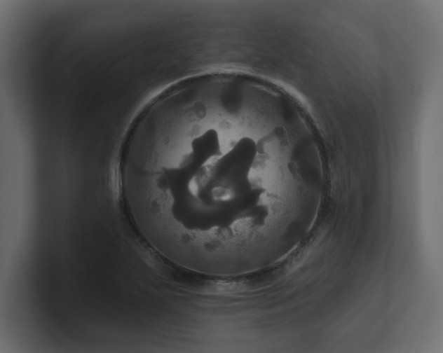 X0000100921271200806241337