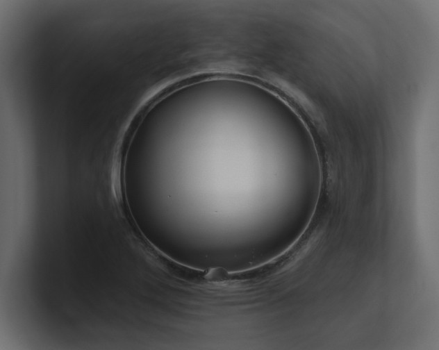 X0000100921272200806241337