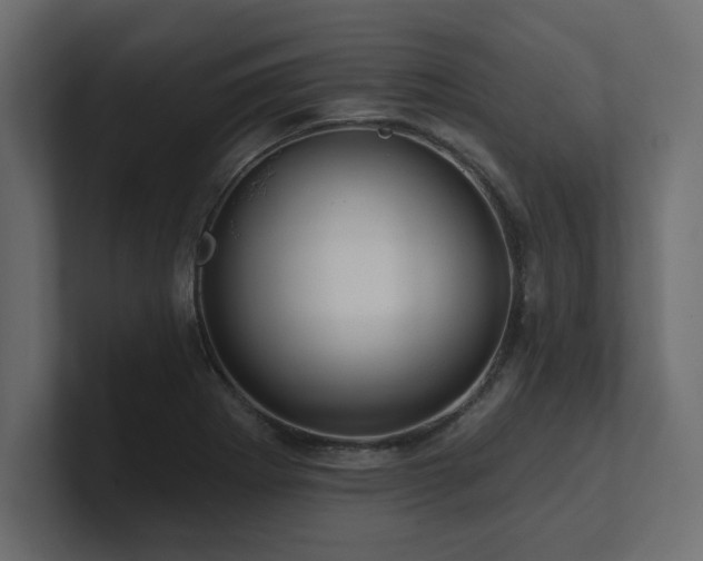 X0000100921273200806241337