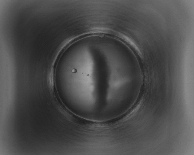 X0000100921275200806241337