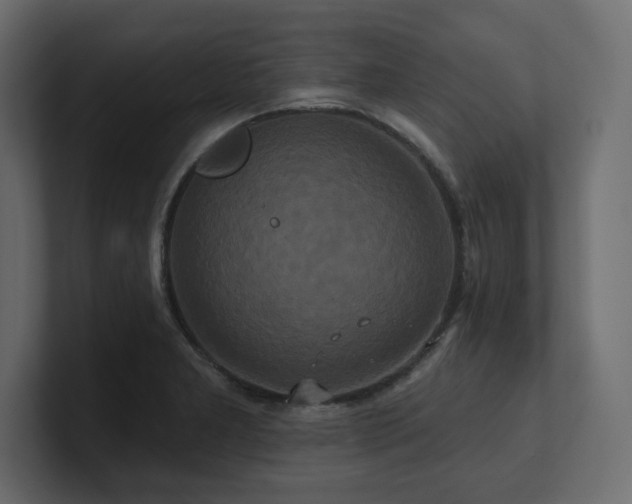 X0000100921277200806241337