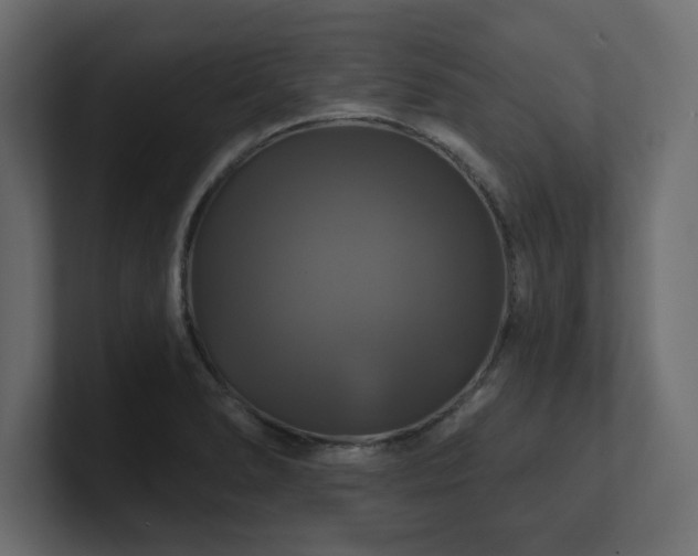 X0000100921278200806241337