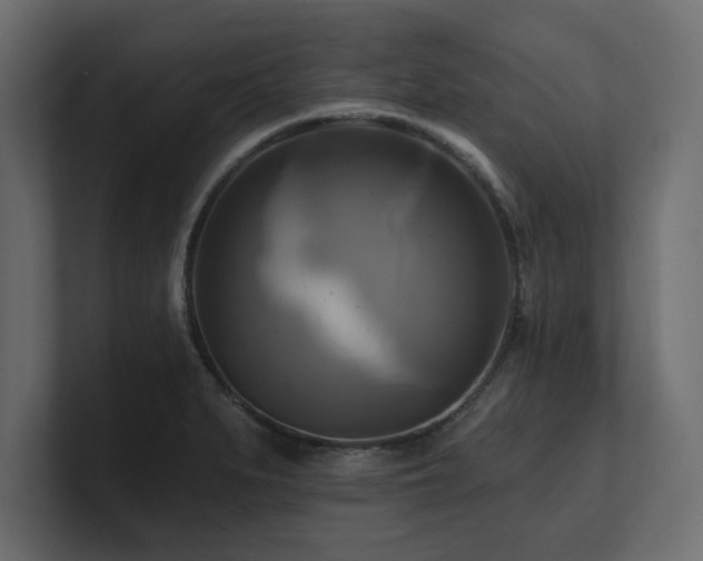 X0000100921279200806241337