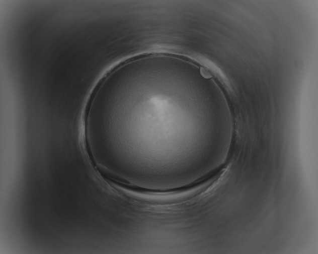 X0000100921280200806241337