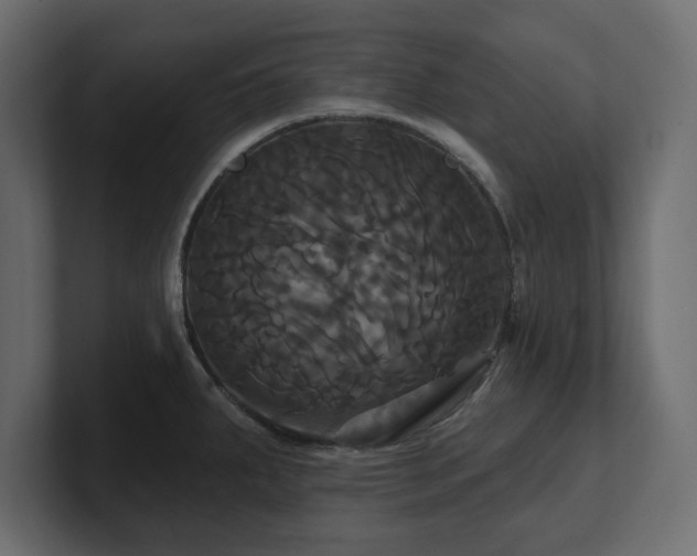 X0000100921287200806241336