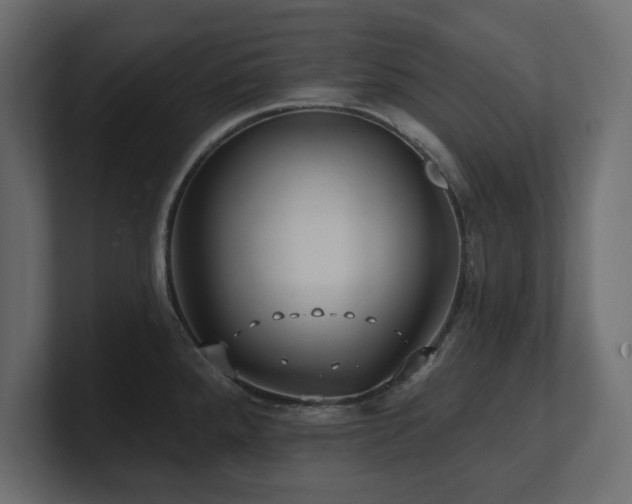 X0000100921288200806241336
