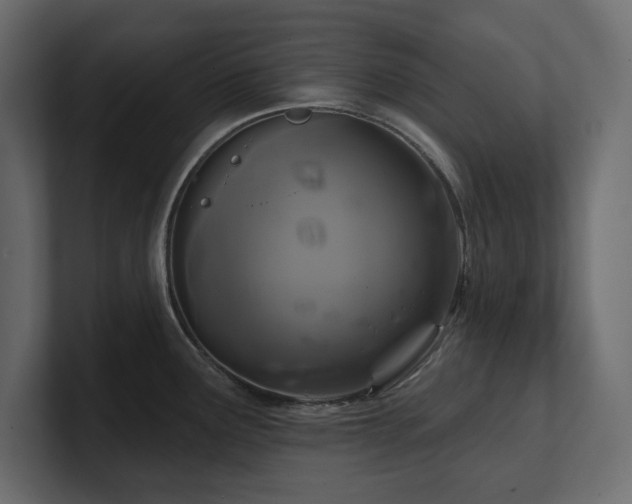 X0000100921291200806241336