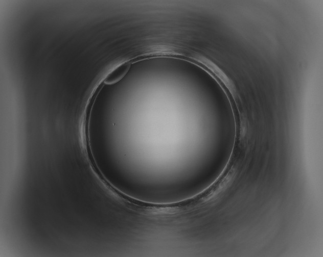 X0000100921293200806241336