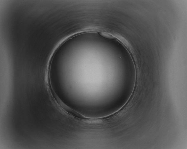 X0000100921296200806241336