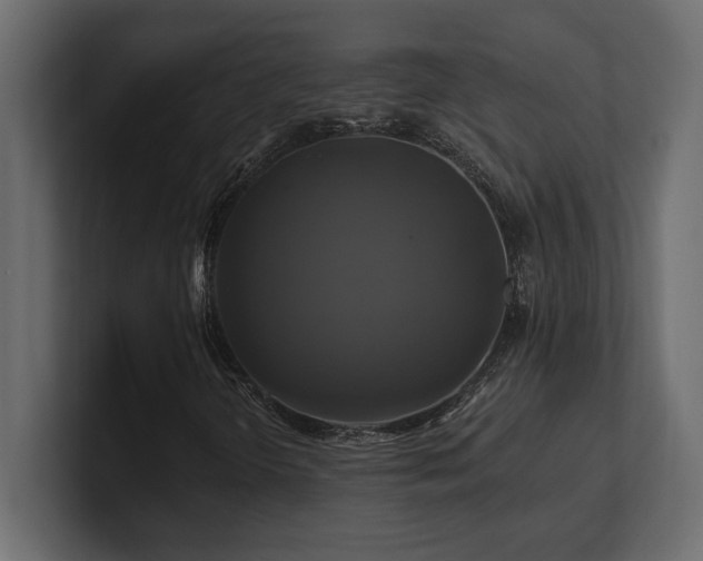 X0000100921298200806241336