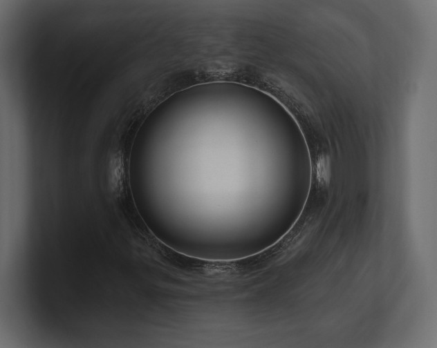 X0000100921299200806241336