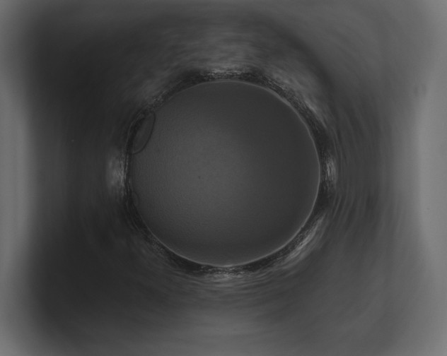 X0000100921300200806241336