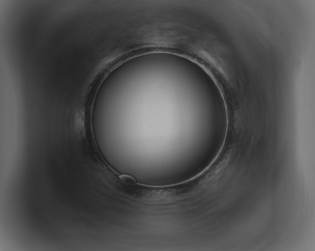 X0000100921307200806241336