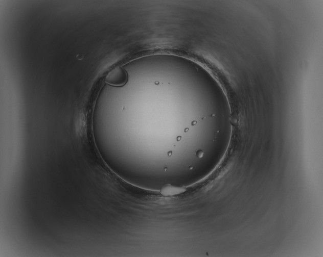 X0000100921309200806241336