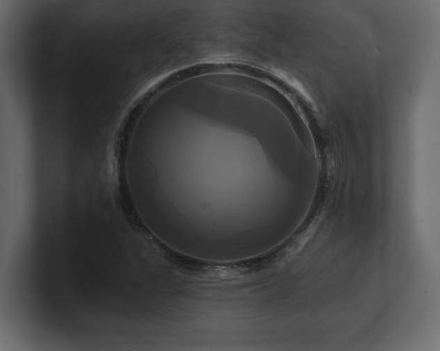 X0000100921311200806241336