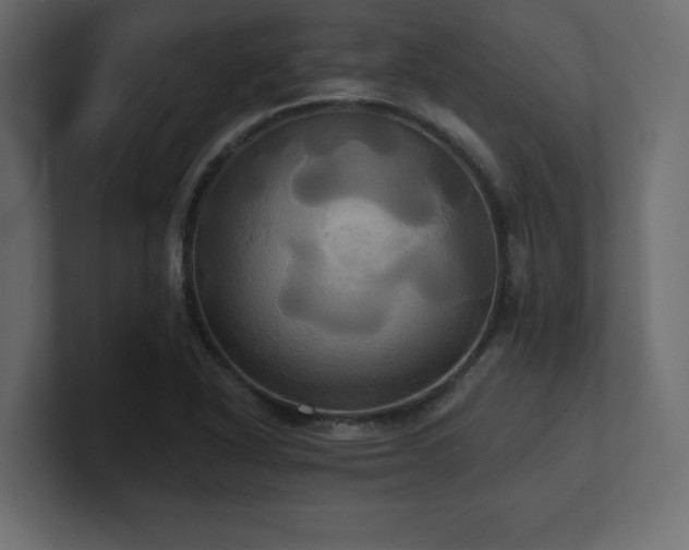 X0000100921318200806241336