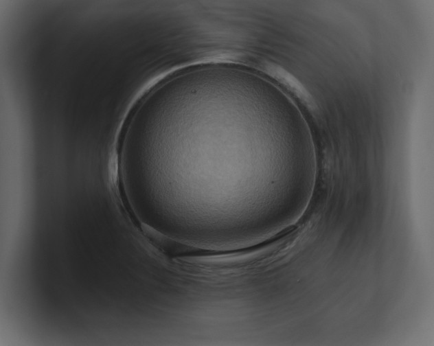 X0000100921324200806241336
