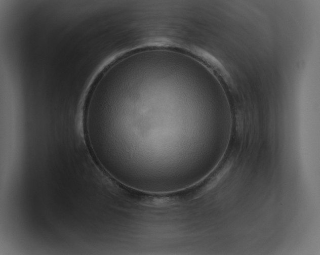 X0000100921326200806241336