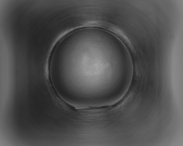 X0000100921328200806241336