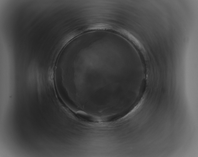 X0000100921329200806241336