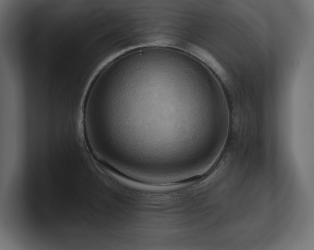 X0000100921332200806241336