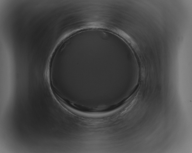 X0000100921334200806241336