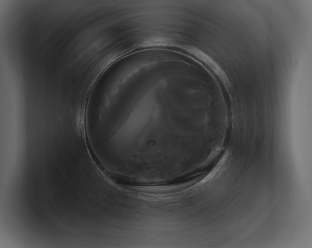 X0000100921337200806241336