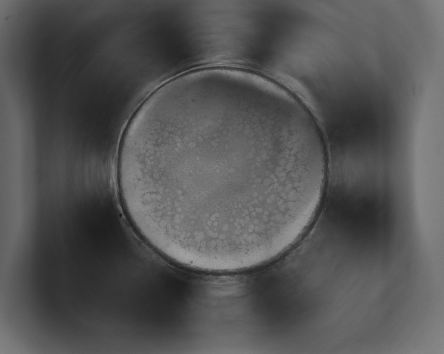X0000100921338200806241336