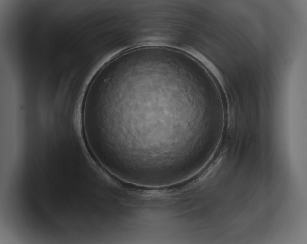 X0000100921341200806241336
