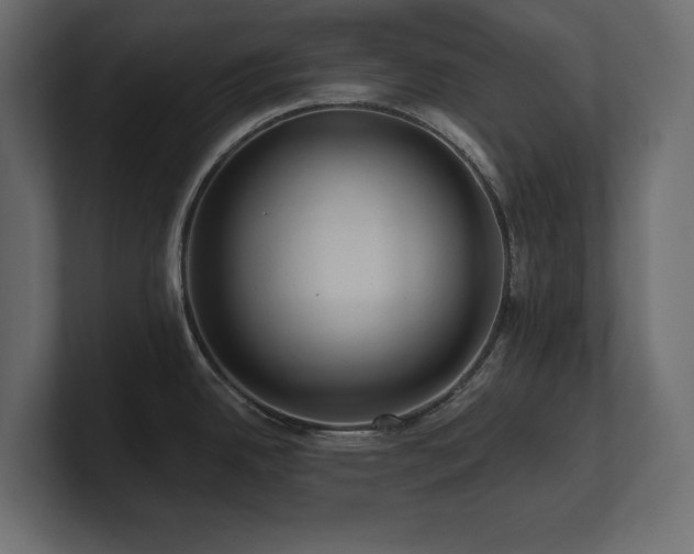 X0000100921342200806241336