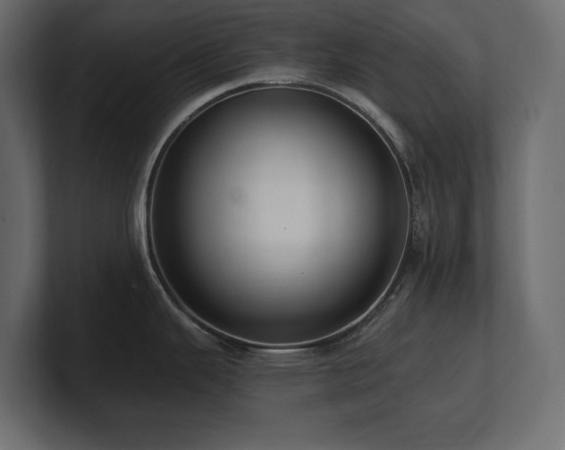 X0000100921343200806241336