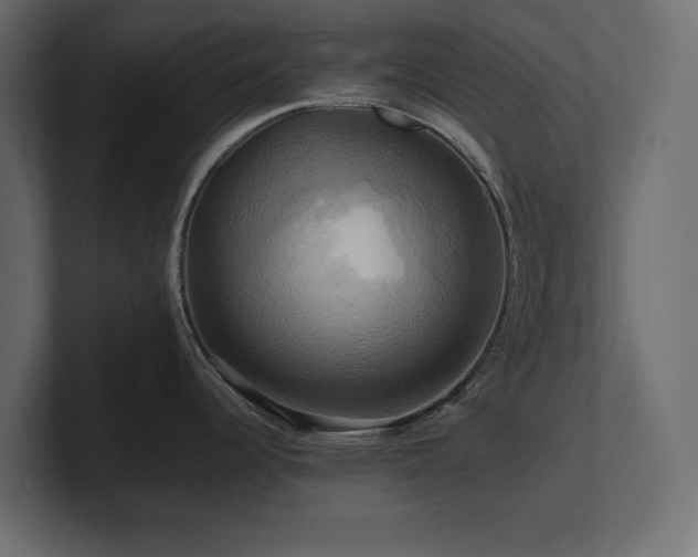 X0000100921344200806241336