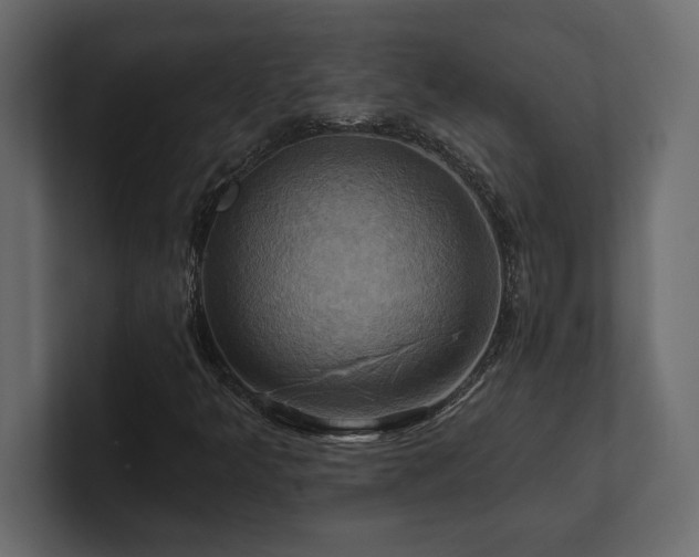 X0000100921349200806241336