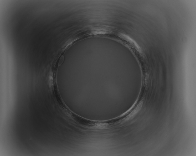 X0000100921353200806241336