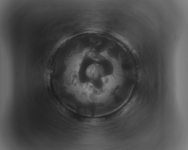 X0000100921355200806241336