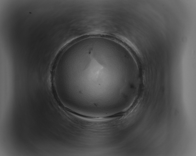 X0000100921356200806241336