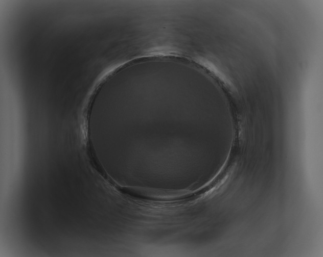 X0000100921358200806241335