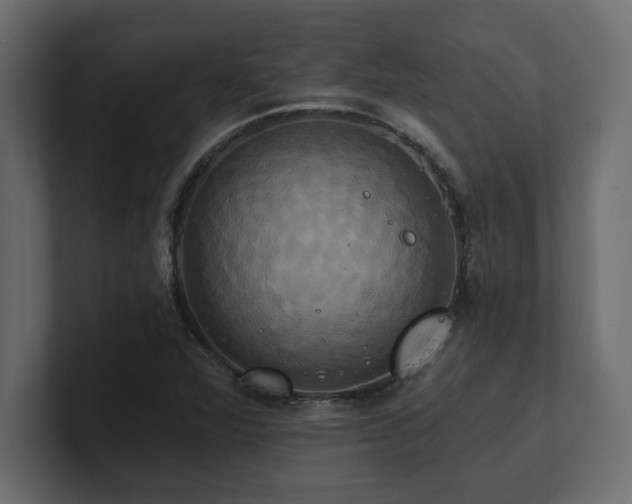 X0000100921360200806241335