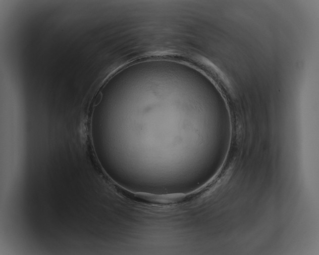 X0000100921361200806241335
