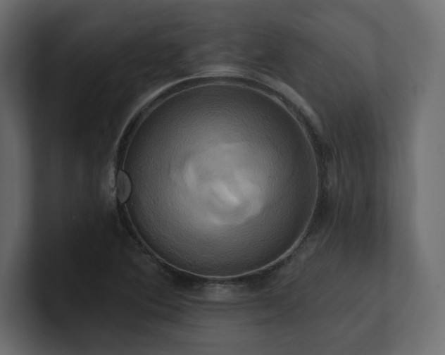 X0000100921364200806241335