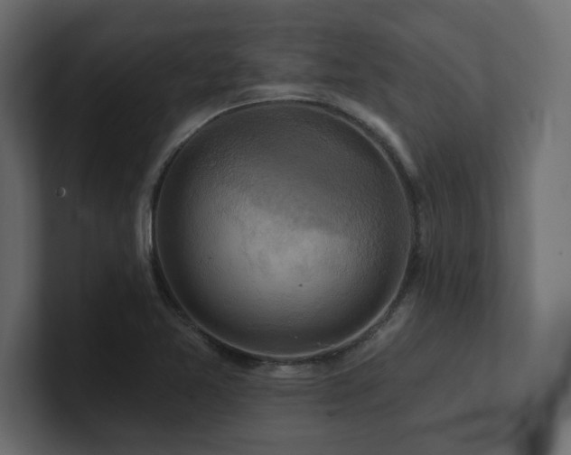 X0000100921365200806241335