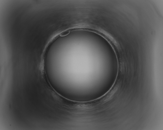 X0000100921366200806241335
