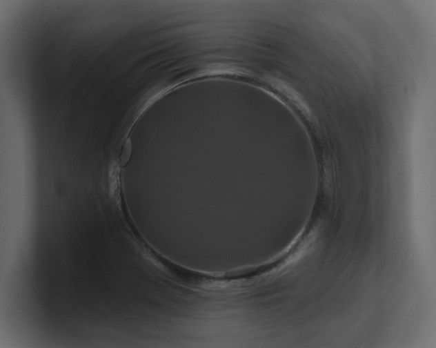 X0000100921369200806241335