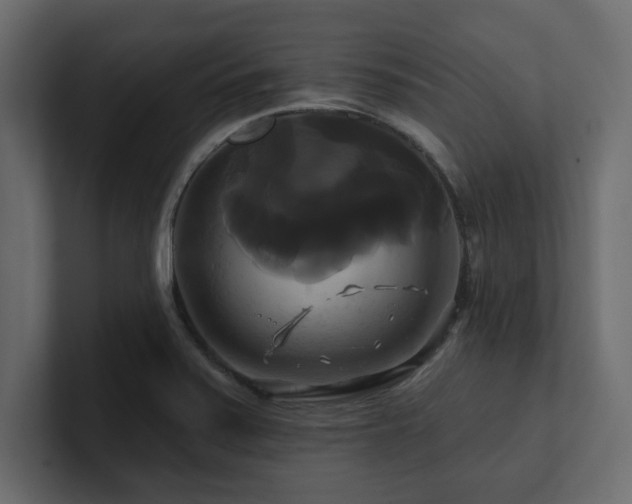 X0000100921371200806241335