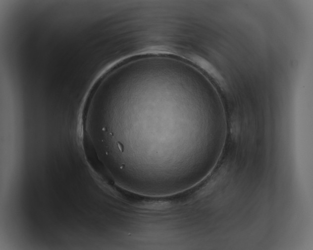 X0000100921372200806241335