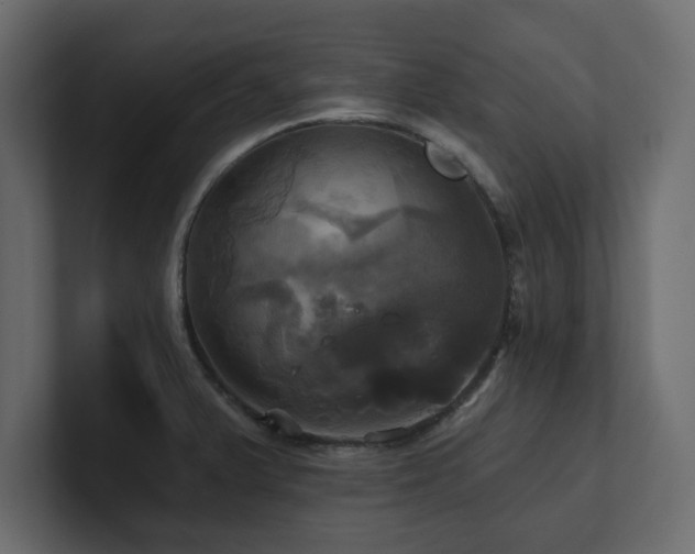 X0000100921375200806241335