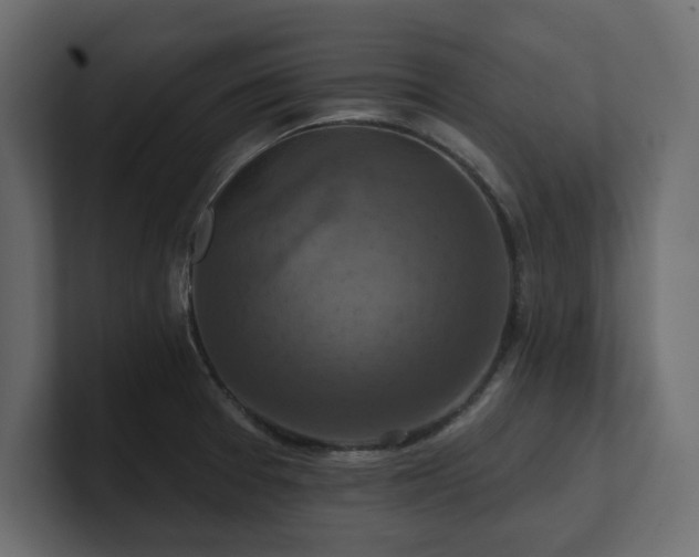 X0000100921377200806241335