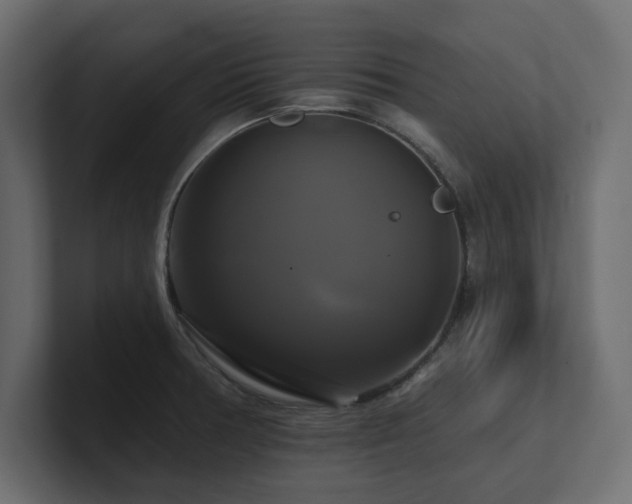X0000100921378200806241335